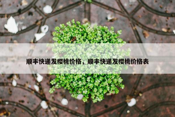 顺丰快递发樱桃价格，顺丰快递发樱桃价格表