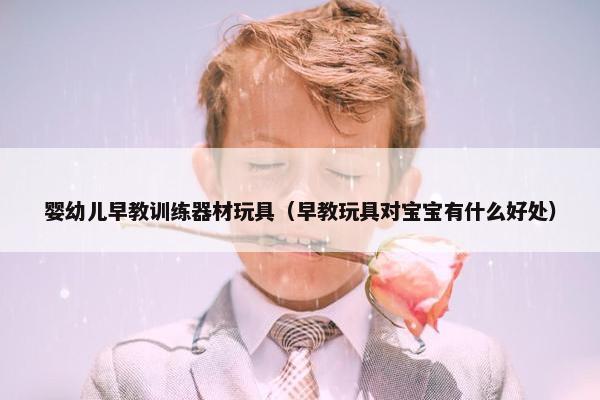 婴幼儿早教训练器材玩具（早教玩具对宝宝有什么好处）