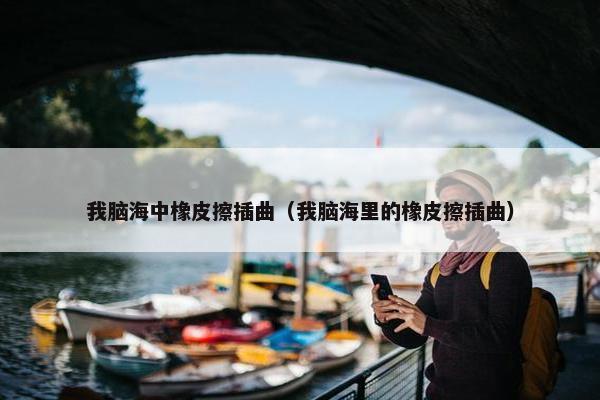 我脑海中橡皮擦插曲（我脑海里的橡皮擦插曲）