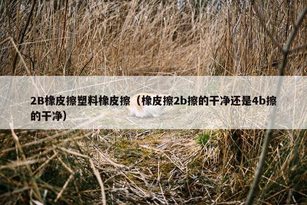 2B橡皮擦塑料橡皮擦（橡皮擦2b擦的干净还是4b擦的干净）