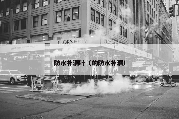 防水补漏叶（的防水补漏）