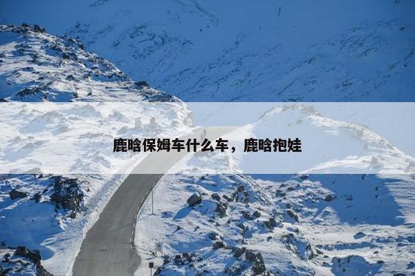 鹿晗保姆车什么车，鹿晗抱娃