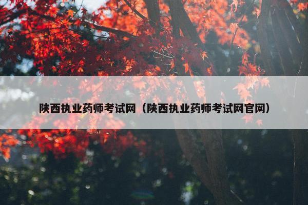 陕西执业药师考试网（陕西执业药师考试网官网）
