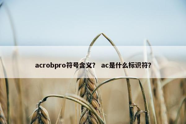 acrobpro符号含义？ ac是什么标识符？