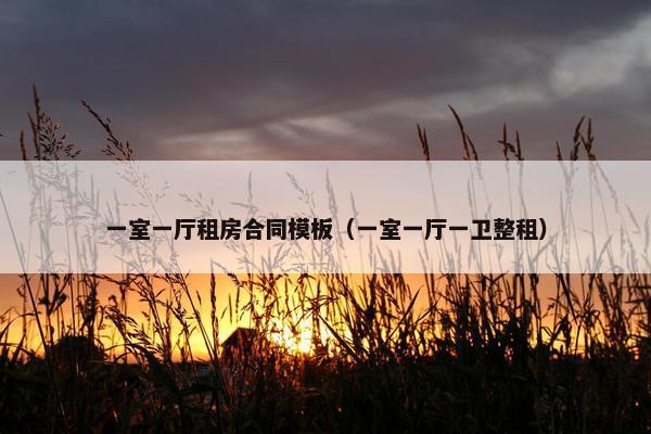 一室一厅租房合同模板（一室一厅一卫整租）