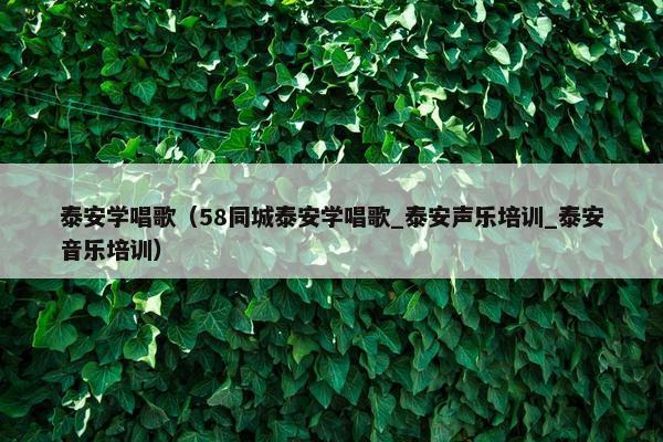 泰安学唱歌（58同城泰安学唱歌_泰安声乐培训_泰安音乐培训）