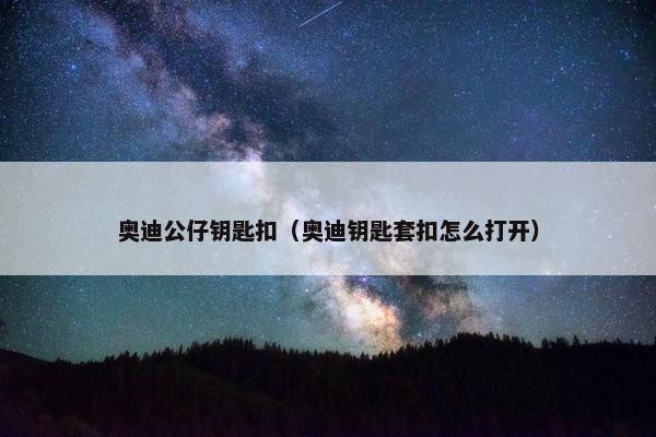 奥迪公仔钥匙扣（奥迪钥匙套扣怎么打开）