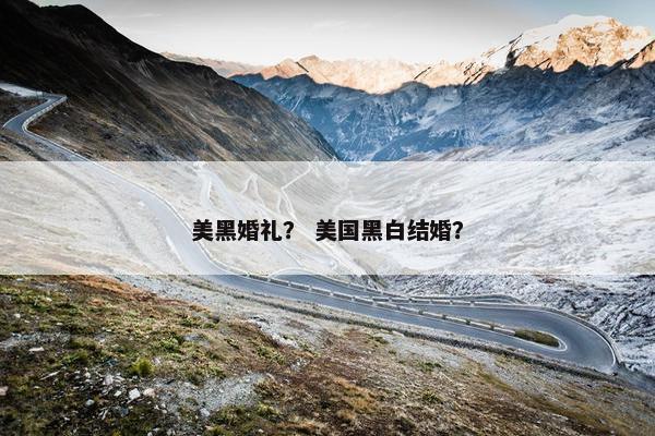 美黑婚礼？ 美国黑白结婚？