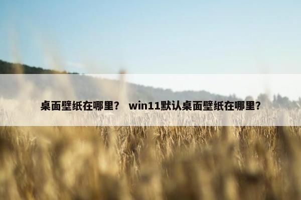 桌面壁纸在哪里? win11默认桌面壁纸在哪里? 桌面壁纸在哪里? win11默认桌面壁纸在哪里?