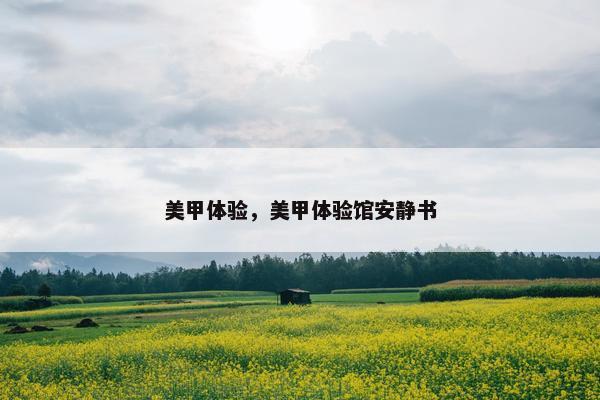 美甲体验，美甲体验馆安静书