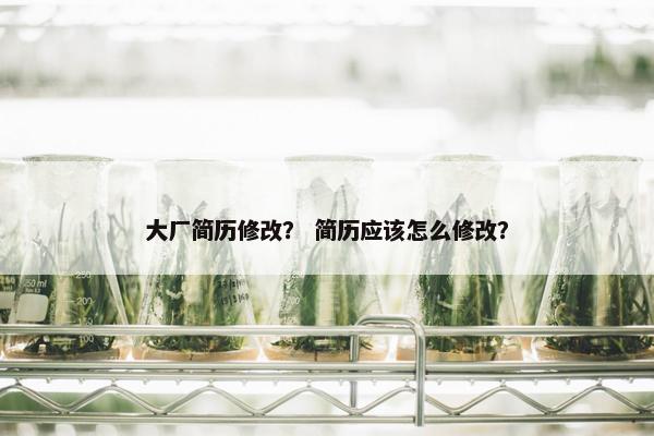 大厂简历修改？ 简历应该怎么修改？