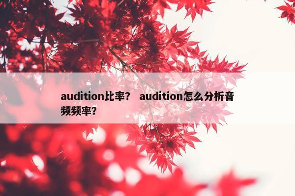 audition比率？ audition怎么分析音频频率？