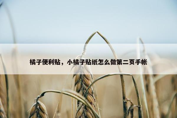 橘子便利贴，小橘子贴纸怎么做第二页手帐