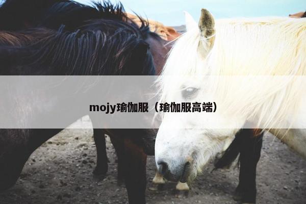 mojy瑜伽服（瑜伽服高端）