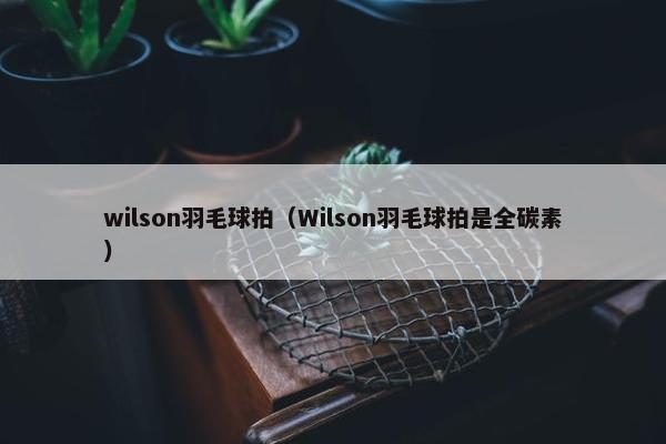 wilson羽毛球拍（Wilson羽毛球拍是全碳素）