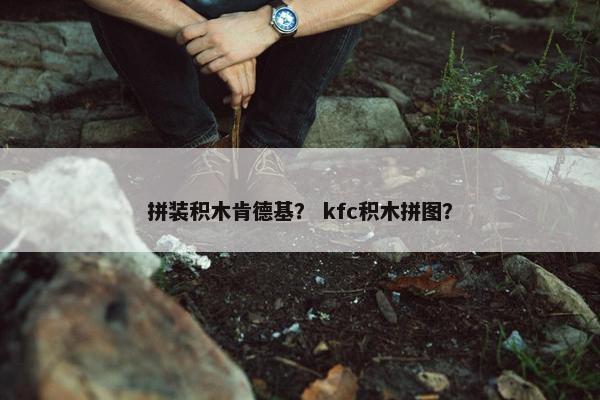 拼装积木肯德基？ kfc积木拼图？