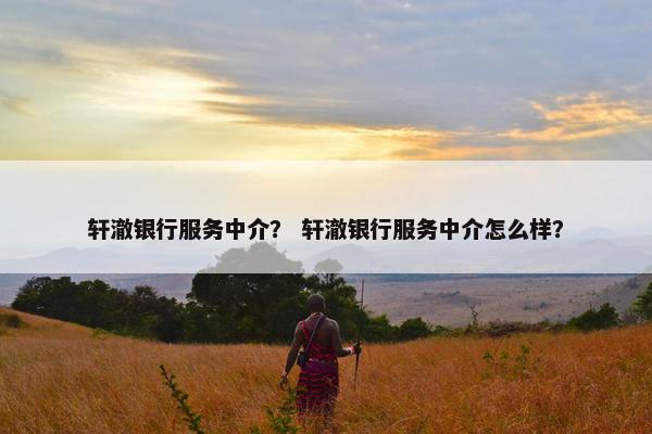 轩澈银行服务中介？ 轩澈银行服务中介怎么样？