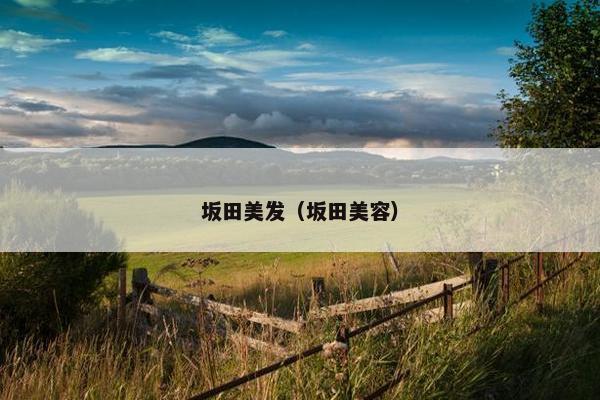 坂田美发（坂田美容）