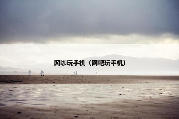 网咖玩手机（网吧玩手机）