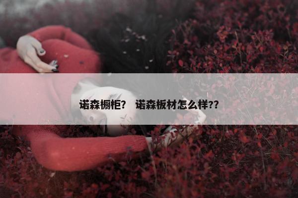 诺森橱柜？ 诺森板材怎么样?？