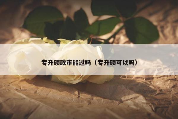 专升硕政审能过吗（专升硕可以吗）