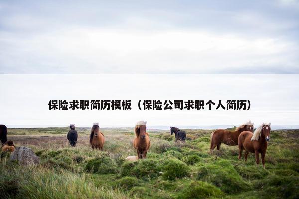 保险求职简历模板(保险公司求职个人简历) 保险求职简历模板(保险公司求职个人简历)
