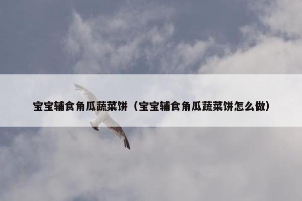 宝宝辅食角瓜蔬菜饼（宝宝辅食角瓜蔬菜饼怎么做）