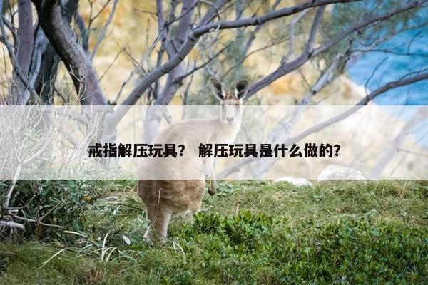 戒指解压玩具？ 解压玩具是什么做的？
