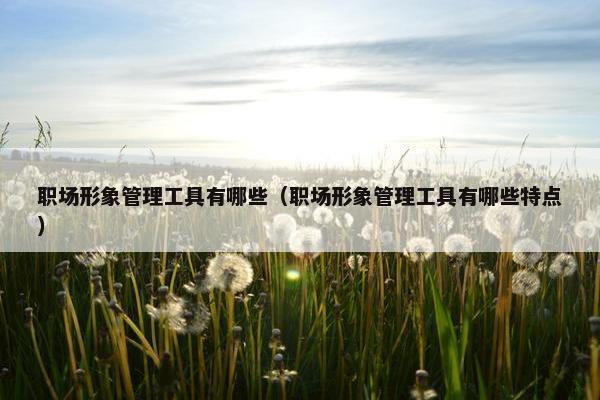 职场形象管理工具有哪些（职场形象管理工具有哪些特点）