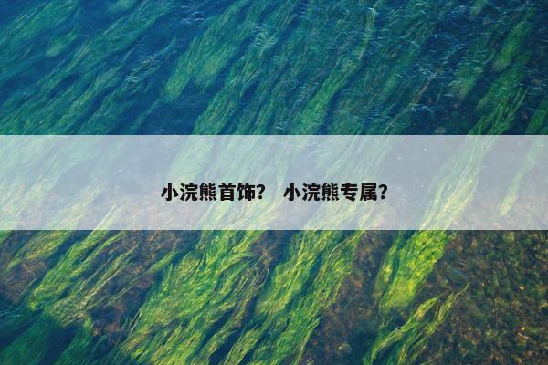 小浣熊首饰？ 小浣熊专属？