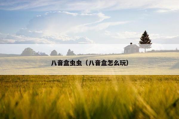 八音盒虫虫（八音盒怎么玩）