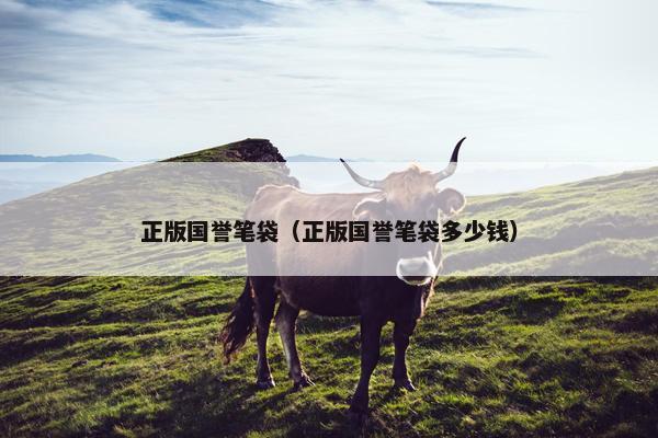 正版国誉笔袋（正版国誉笔袋多少钱）