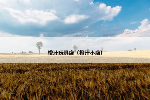 橙汁玩具店（橙汁小店）