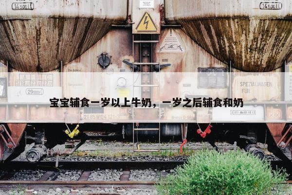 宝宝辅食一岁以上牛奶，一岁之后辅食和奶