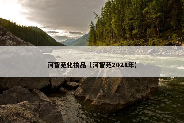 河智苑化妆品（河智苑2021年）