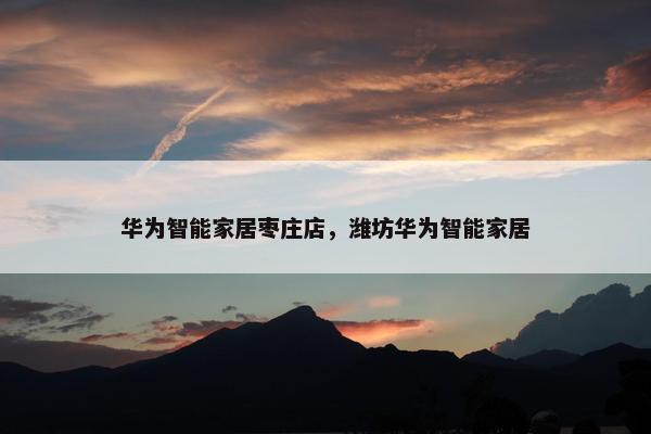 华为智能家居枣庄店，潍坊华为智能家居