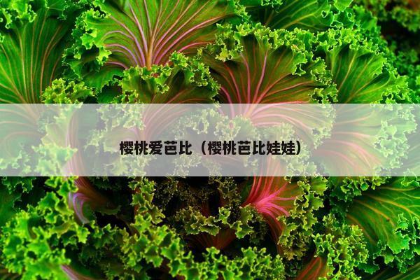 樱桃爱芭比（樱桃芭比娃娃）