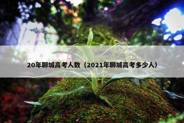 20年聊城高考人数（2021年聊城高考多少人）