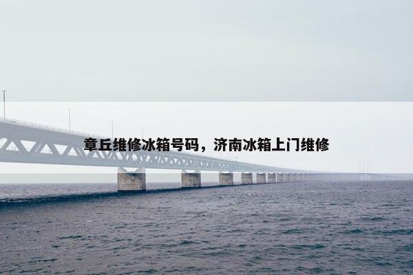 章丘维修冰箱号码，济南冰箱上门维修