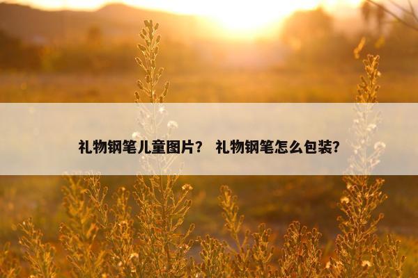 礼物钢笔儿童图片？ 礼物钢笔怎么包装？