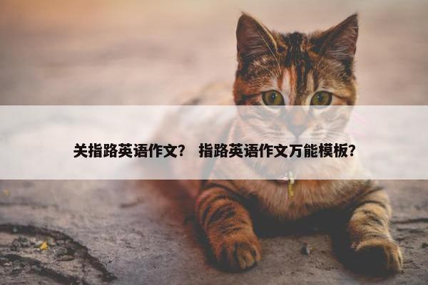 关指路英语作文? 指路英语作文万能模板? 关指路英语作文? 指路英语作文万能模板?