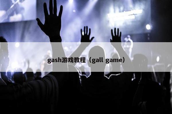gash游戏教程（gall game）