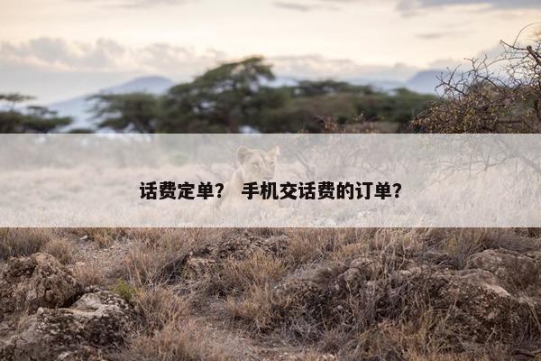 话费定单？ 手机交话费的订单？