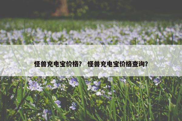怪兽充电宝价格？ 怪兽充电宝价格查询？