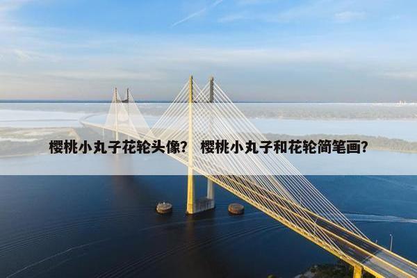 樱桃小丸子花轮头像？ 樱桃小丸子和花轮简笔画？