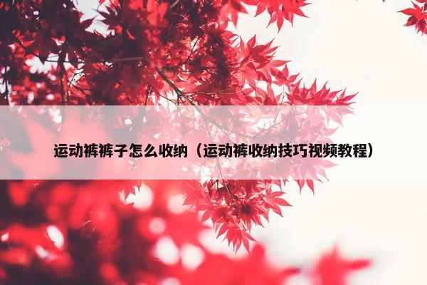 运动裤裤子怎么收纳（运动裤收纳技巧视频教程）