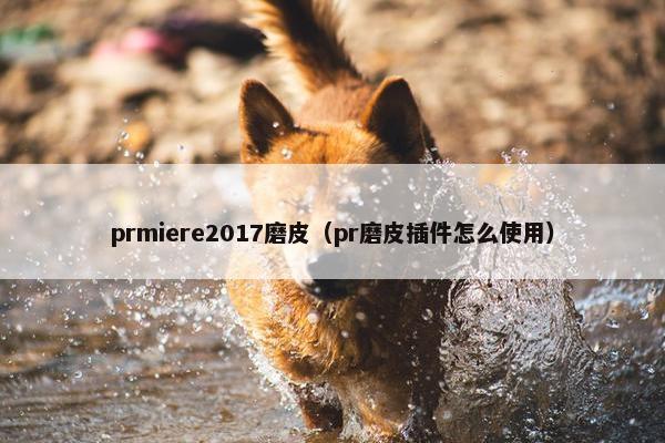 prmiere2017磨皮（pr磨皮插件怎么使用）