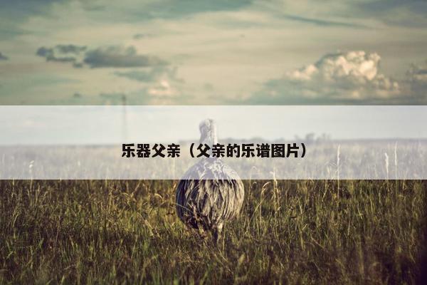 乐器父亲（父亲的乐谱图片）