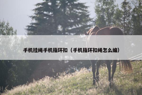 手机挂绳手机指环扣（手机指环扣绳怎么编）