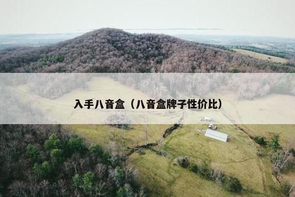 入手八音盒（八音盒牌子性价比）